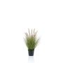 Pennisetum artificial YWAIN con panículas, beige-verde, 60cm