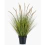 Pennisetum artificial YWAIN con panículas, beige-verde, 85cm