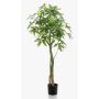 Pachira artificial HARUKI, troncos artificiales, 150cm