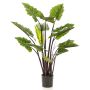 Alocasia odora artificial KANAYE, verde, 130cm