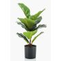 Ficus Lyrata artificial EMILIANA, verde, 55cm