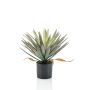 Yuca artificial KOUKI, 50cm