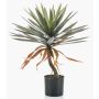 Yuca artificial KOUKI, 75cm