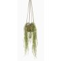Cesta colgante artificial hoya linearis MIKI, maceta de terracota, verde, 85cm