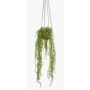 Cesta colgante de ficus pumila artificial AMADOR, maceta de terracota, verde, 100cm