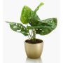 Filodendro artificial Monstera Deliciosa PUYA, maceta de cerámica dorada, 30cm