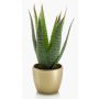 Aloe Variegata artificial MARTINEZ, maceta de cerámica dorada, verde, 25cm, Ø17cm