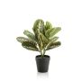 Maranta artificial SITULA, verde-rojo, 30cm