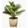 Maranta artificial SITULA en maceta de cerámica dorada, verde-rojo, 30cm