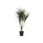 Dracaena reflexa artificial TABIVO, tronco artificial, verde-rojo, 90cm