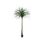 Dracaena reflexa artificial TABIVO, tronco artificial, verde, 220cm