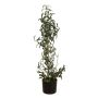 Olivo artificial LEANDRU con frutos, verde, 105cm