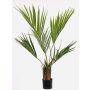 Palmera artificial Kentia PAIGE, 105cm