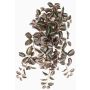 Tradescantia Zebrina artificial KALANI, en varilla de ajuste, difícilmente inflamable, verde-blanco, 55cm