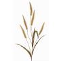Pennisetum artificial HIWA, panículas, verde, 135cm