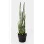Sansevieria Cylindrica artificial AIDANA, verde-amarillo, 65cm
