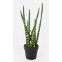 Sansevieria Cylindrica artificial AIDANA, verde-amarillo, 40cm