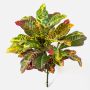 Croton de plástico TAAVI en varilla de ajuste, colorido, 55cm