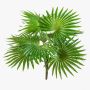 Palmera Washingtonia artificial SCHEDIR en varilla de ajuste, 35cm