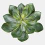 Echeveria pelusida artificial CURSA en varilla de ajuste, verde, 15cm