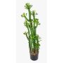 Euphorbia royleana artificial GACRUX, verde, 120cm