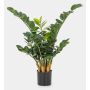 Zamioculcas Zamiifolia artificial AKONO, 65cm