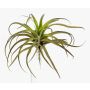 Tillandsia Stricta artificial PROPUS en varilla de ajuste, verde-marrón, 25cm