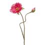 Amapola artificial HASNA, rosa, 75cm