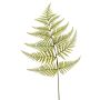 Hoja de helecho espada artificial MBALI, verde, 80cm