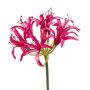 Amarilis de jardín sintética BAIMAI, rosa, 75cm