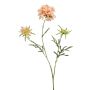 Scabiosa artificial MARUA, melocotón, 80cm