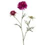 Scabiosa artificial MARUA, violeta, 80cm