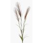 Rama de hierba de la pampa artificial ADNANE con panículas, marrón, 90cm