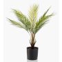 Palmera artificial Chamaedorea AIKU, 50cm