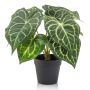 Anturio artificial TESHI, verde-crema, 25cm