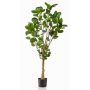 Aralia artificial FAUZIA, tronco sintético, 150cm