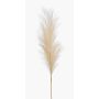 Espiga artificial de hierba de la pampa AMATSIA, crema, 115cm