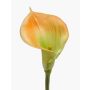 Calla artificial DAISCHI, amarillo-verde, 70cm