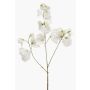 Lathyrus artificial KANZI, crema, 75cm