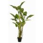 Oreja de elefante artificial KOKKO con lianas, verde, 195cm