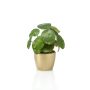 Planta china del dinero artificial SYBIL en maceta dorada, verde, 20cm
