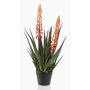 Planta de aloe vera artificial SUSUMI con flores, maceta decorativa, naranja-verde, 80cm