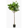 Ficus Lyrata artificial ABIULA, tronco real, verde, 195cm