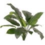 Planta artificial Spathiphyllum PLAKIAS, difícilmente inflamable, varilla, verde, 90 cm