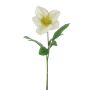 Rosa de Navidad artificial GARONA, blanco-verde, 30cm