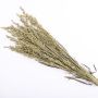 Ramitas secas de espigas de avena GRIGOLIN, color natural, 60cm