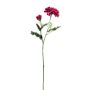 Rama decorativa de flores Zinnia GUNDISINE, Eco Collection, rosa oscuro, 65 cm, Ø 9 cm
