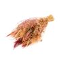 Ramo seco EISTLA, rosa-natural, 50 cm, Ø 23 cm