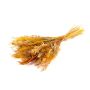 Ramo seco DILIANE, amarillo natural, 50 cm, Ø 15 cm