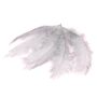 Decoración natural Plumas de avestruz PIPPIN, 5 unidades, gris claro, 55-70 cm